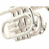 Труба Thomann TR 5 SI Bb-Pocket Trumpet Thomann TR 5 SI Bb-Pocket Trumpet