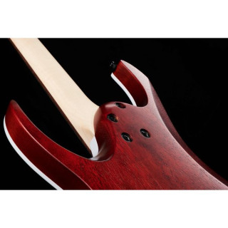 Ibanez RGA42FM-TGF Ibanez RGA42FM-TGF