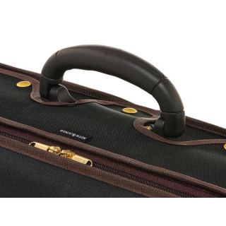 Рот и Юниус Серената №06 для скрипки с кейсом GR/BG Roth & Junius Serenata No.06 Vn Case GR/BG