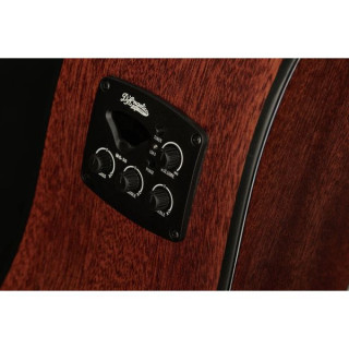 Данжелико Премьер Бауэри LS DAngelico Premier Bowery LS