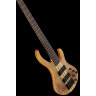 Harley Benton BZ-5000 II NT Набор №581010 Harley Benton BZ-5000 II NT Bundle №581010