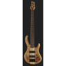 Harley Benton BZ-5000 II NT Набор №581010 Harley Benton BZ-5000 II NT Bundle №581010