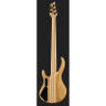 Harley Benton BZ-5000 II NT Набор №581010 Harley Benton BZ-5000 II NT Bundle №581010