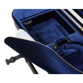 Артонус Джистон Профессиональная скрипка GG Artonus Geeston Pro Violin GG