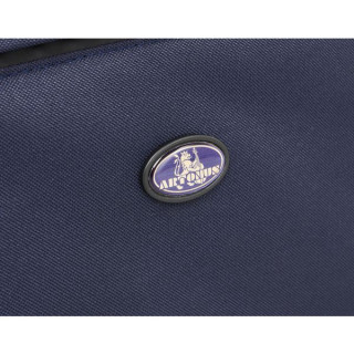 Артонус Джистон Профессиональная скрипка GG Artonus Geeston Pro Violin GG