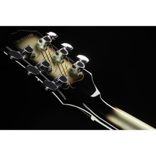 Epiphone Adam Jones LP c Анти-Лаокооном Epiphone Adam Jones LP C Anti-Laokoon