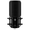 Шуру KSM40C Shure KSM40C