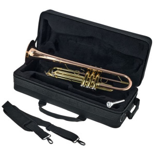 Бах TR-351G Bb-труба Bach TR-351G Bb-Trumpet