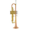 Бах TR-351G Bb-труба Bach TR-351G Bb-Trumpet