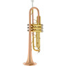 Бах TR-351G Bb-труба Bach TR-351G Bb-Trumpet