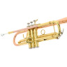 Бах TR-351G Bb-труба Bach TR-351G Bb-Trumpet