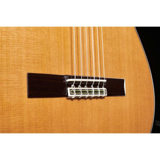 Alhambra 9P с корпусом Alhambra 9P w/Case