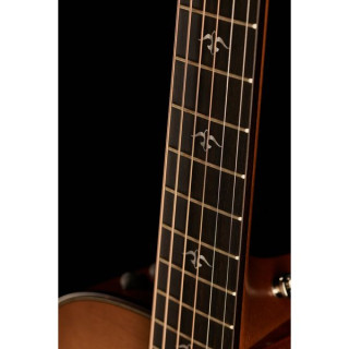 Taylor 512ce Городская железная кора Taylor 512ce Urban Ironbark