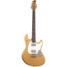 Музыкальный человек Stingray HT Golden Delicious Music Man Stingray HT Golden Delicious