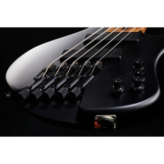 Бас-гитара Ibanez EHB1005MS-BKF Ibanez EHB1005MS-BKF