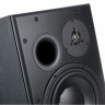 Dynaudio BM15A справа Dynaudio BM15A Right