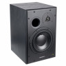 Dynaudio BM15A справа Dynaudio BM15A Right