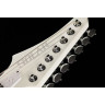 Солнечные гитары T1.7 VINTER Solar Guitars T1.7 VINTER