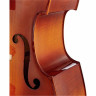 Контрабас Thomann 22 4/4 Europe Double Bass Thomann 22 4/4 Europe Double Bass