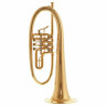 Флюгельгорн Krinner Prinzessin Flugelhorn Gold