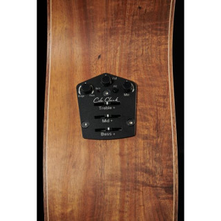 Электроакустическая гитара Cole Clark ANMGE-BLBL-AE Mastergrade Cole Clark ANMGE-BLBL-AE Mastergrade