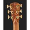 Электроакустическая гитара Cole Clark ANMGE-BLBL-AE Mastergrade Cole Clark ANMGE-BLBL-AE Mastergrade