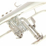 Флюгельгорн Thomann FH 600 GS Bb-Flugelhorn Bundle №430716 (Комплект)
