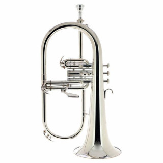 Флюгельгорн Thomann FH 600 GS Bb-Flugelhorn Bundle №430716 (Комплект)