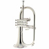 Флюгельгорн Thomann FH 600 GS Bb-Flugelhorn Bundle №430716 (Комплект)