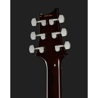 PRS S2 10-я годовщина. Изготовленный на заказ 24 кВт PRS S2 10th Anniv. Custom 24 KW