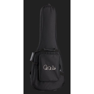 PRS S2 10-я годовщина. Изготовленный на заказ 24 кВт PRS S2 10th Anniv. Custom 24 KW