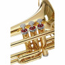 Thomann Bb-клапанный тромбон Thomann Bb-Valve Trombone