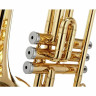 Thomann Bb-клапанный тромбон Thomann Bb-Valve Trombone