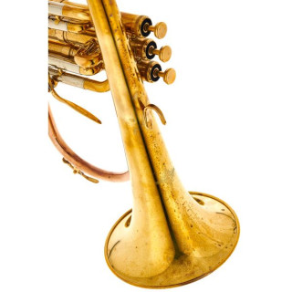 Флюгельгорн Thomann FH-900J Raw JAZZ Bb-Flugelhorn