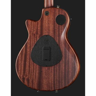 Тейлор Т5з Классик Taylor T5z Classic