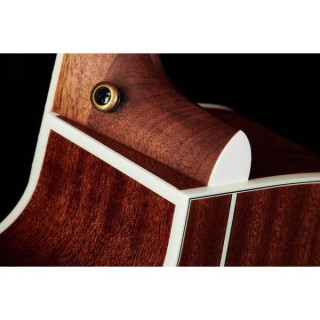 DAngelico Premier Bowery Черная вишня B DAngelico Premier Bowery Black Cherry B