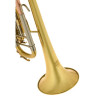 Tavmusic.ru TR 620 M Bb-Труба Thomann TR 620 M Bb-Trumpet