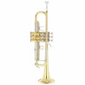 Труба Bach TR-450 Bb- Trumpet Set Bach TR-450 Bb- Trumpet Set