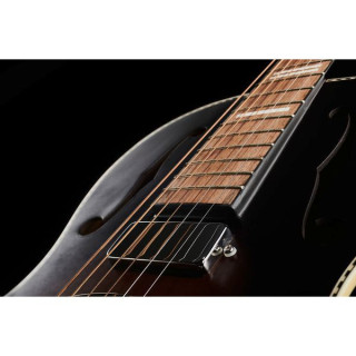 Записывающийся король RPH-R2-E-BRB Dirty 30´s Minnie Recording King RPH-R2-E-BRB Dirty 30´s Minnie