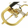 Флюгельгорн daCarbo Goldlac flugelhorn