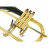 Флюгельгорн daCarbo Goldlac flugelhorn