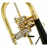Флюгельгорн daCarbo Goldlac flugelhorn