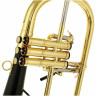 Флюгельгорн daCarbo Goldlac flugelhorn