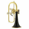 Флюгельгорн daCarbo Goldlac flugelhorn