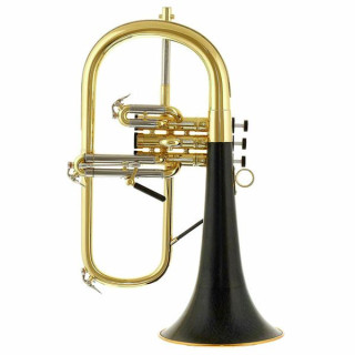 Флюгельгорн daCarbo Goldlac flugelhorn daCarbo Goldlac flugelhorn