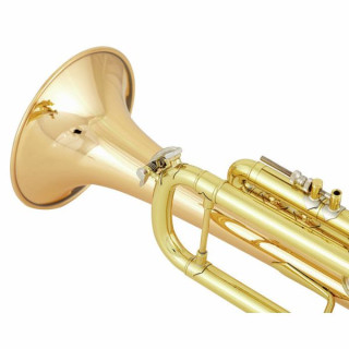 Bach LR18072G Bb-Trumpet Bach LR18072G Bb-Trumpet