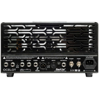 Плохой кот Ocelot Lunchbox Head Bad Cat Ocelot Lunchbox Head