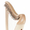 Арфа Lyon & Healy Drake LT Lever Harp Natural Lyon & Healy Drake LT Lever Harp Natural