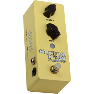 Danelectro SKJ-1 Весенний король Юниор Danelectro SKJ-1 Spring King Junior