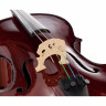 Студент-виолончелист Stentor SR1102 I 1/10 Stentor SR1102 Cello Student I 1/10